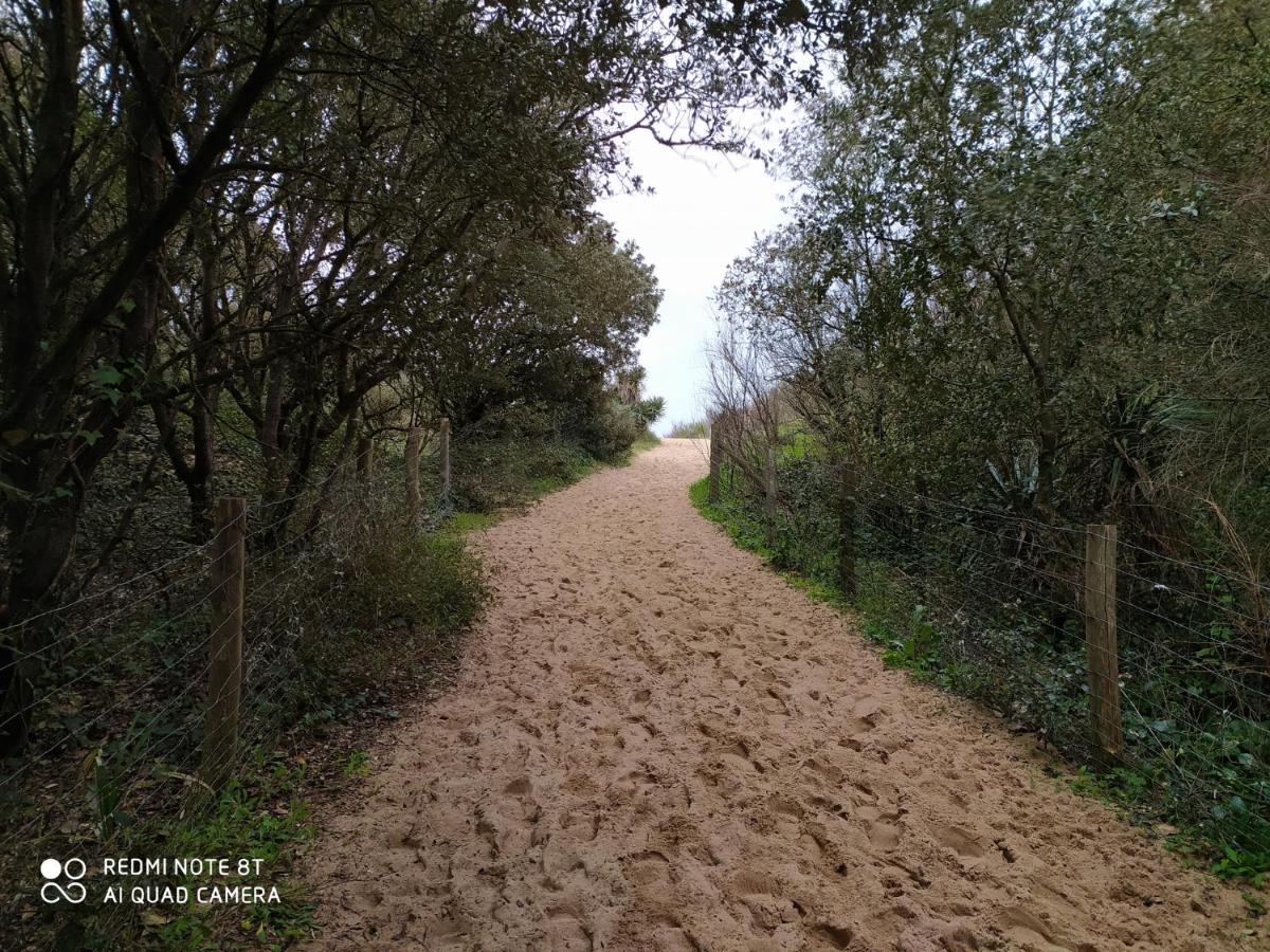 Logement 88 2-4 Personnes 500 m plage classé 2 étoiles Dolus d'Oléron Esterno foto